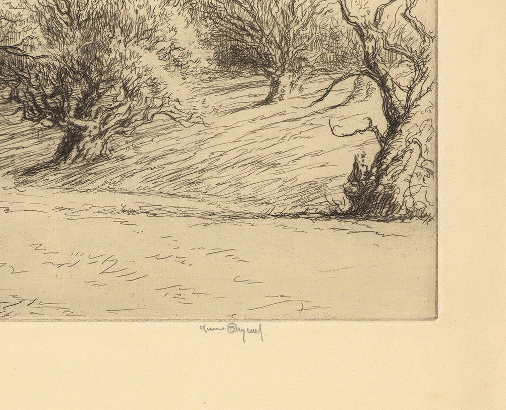 Oaks In Windsor Park.