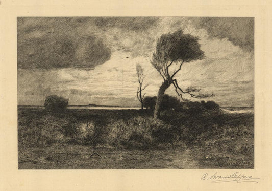 Near the Coast.